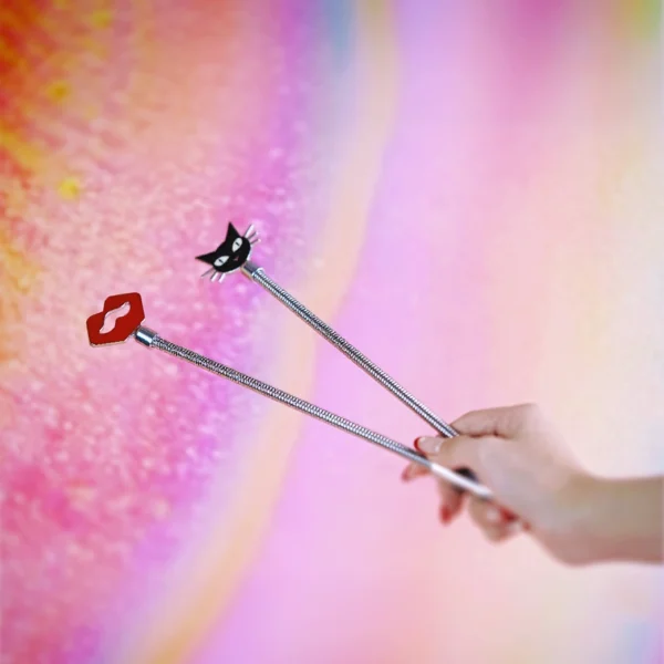A hand holds two playful beginner role play paddle against a vibrant, gradient background in pastel colors. The paddles are crafted from stainless steel and feature decorative tops: one is a bold red lip shape, while the other is a cute black cat face with white whiskers. The sleek, shiny handles add an elegant touch, making these paddles both stylish and beginner-friendly for those exploring role play.