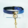 A stunning restraint collar featuring a vibrant blue and purple gradient with a textured snakeskin finish. The collar is crafted from high-quality leather and is secured with a sleek gold metal buckle. At the front, a central D-ring provides a stylish attachment point, leading to a decorative chain that adds an element of sophistication. The collar is displayed on a clear acrylic stand against a soft background, perfectly showcasing this elegant piece of restraint collar gear, ideal for those looking to explore intimate adventures with flair.